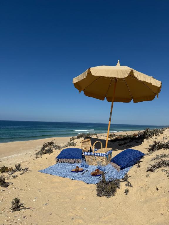 Elegant beach picnic with umbrella and blanket by the ocean