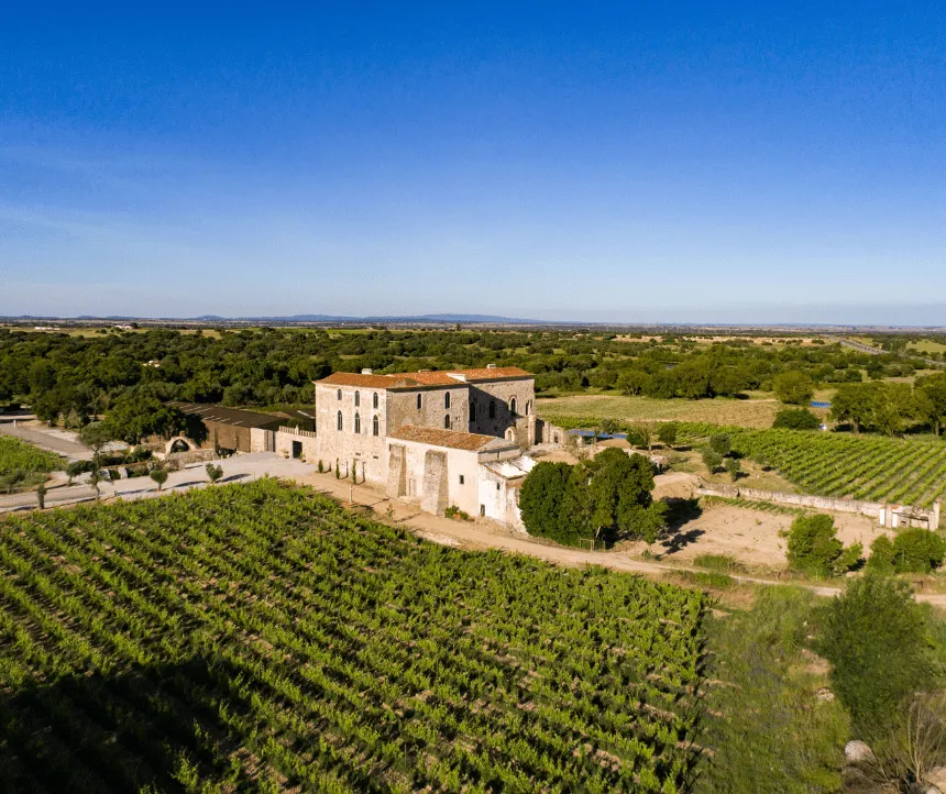 Aerial view of a historic Alentejo wine estate surrounded by vineyards