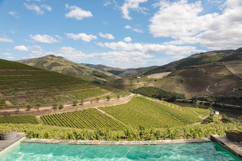 Infinity pool overlooking terraced Douro Valley vineyards and the river